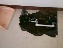山城卫生间测漏水多少钱